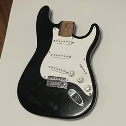 BRIDGE PICKGUARD PICKUPS