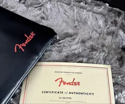 STRATOCASTER USA HARD