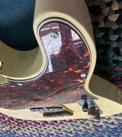 LOADED TELECASTER BODY