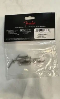 MOUNTING SCREWS CHROME