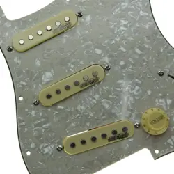 PICKGUARD WITH WILKINSON