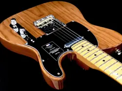 FENDER AMERICAN PROFESSIONAL II TELECASTER ROASTED PINE / NATURAL #GGD6X