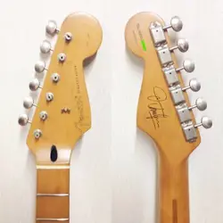 SIGNATURE STRATOCASTER FREE