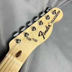TELECASTER WALNUT 3.3KG