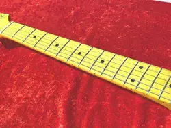 SUNBURST 1993 ELECTRIC