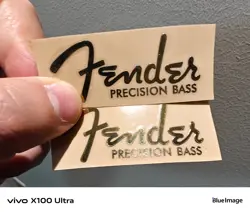 2PCS GOLD FENDER