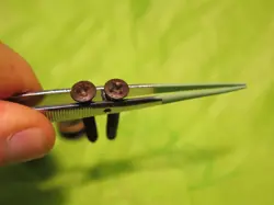 STRATOCASTER TELECASTER TELE