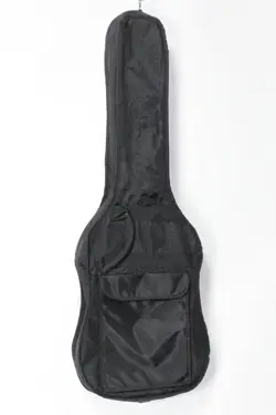 FENDER CLASSIC 69 TELECASTER THINLINE NATURAL 2011 MEXICO USED GUITAR