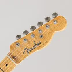 TELECASTER FROST