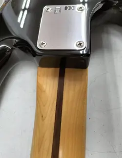 BASS GUITAR 5-STRING