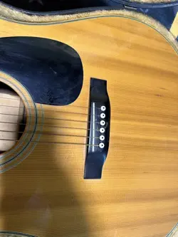 F-95 ACOUSTIC GUITAR