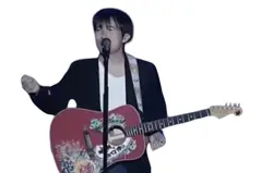 LIMITED EDITION FIESTA