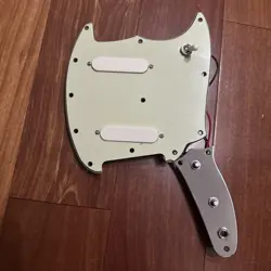 PICKGUARD ASSEMBLY MINT