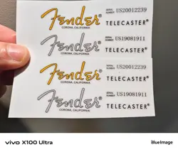 TELECASTER GUITAR VINYL