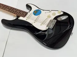 WITH WHITE PICKGUARD