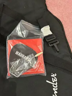 COLLECTION SATIN SHELL