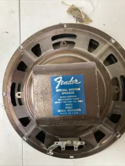 1973 FENDER SPECIAL DESIGN  10 INCH SPEAKER