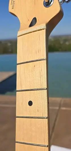 LEFTY FENDER STANDARD