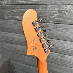 HOLLOW BODY ELECTRIC