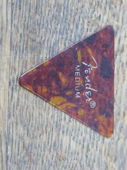 TORTOISE SHELL GUITAR