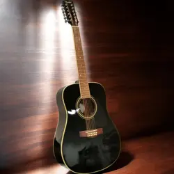 FENDER DG-16-12 ACOUSTIC GUITAR WITH CASE - USED