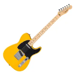 FENDER STANDARD TELECASTER MN BPG BTB