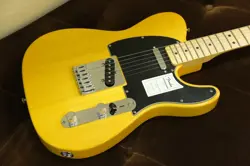 FENDER STANDARD TELECASTER MAPLE FINGERBOARD BUTTERSCOTCH BLONDE