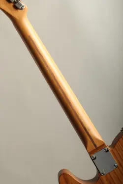 52 TELECASTER ROASTED