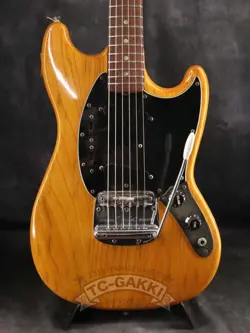 1978-1979 MUSTANG USED