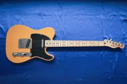 FENDER PLAYER TELECASTER WITH MAPLE FRETBOARD  BUTTERSCOTCH BLON