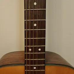 GUITAR DG21S