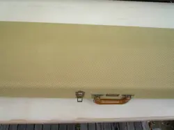 STRATOCASTER SEE THROUGH