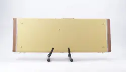 CASE FOR STATOCASTER/TELECASTER