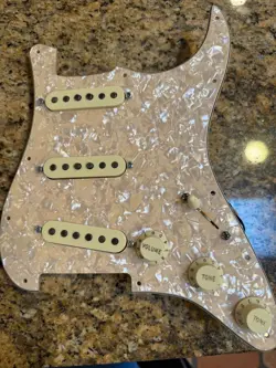 PICKGUARD WITH RAW