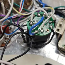 LOADED PICKGUARD SHAWBUCKER