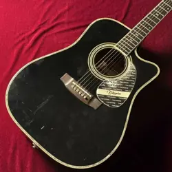 TAKAMINE SW341C
