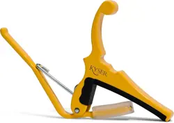 QUICK-CHANGE BUTTERSCOTCH BLONDE