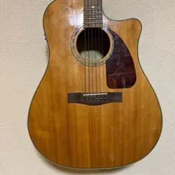 BURL NATURAL ACOUSTIC