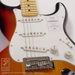 MAPLE COLOR SUNBURST