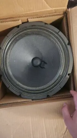 AMPLIFIER SPEAKER 12