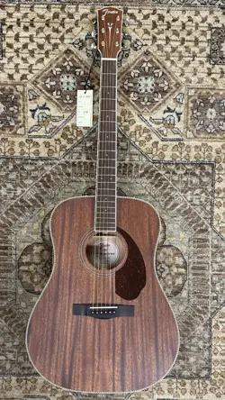 FENDER PARAMOUNT PM1