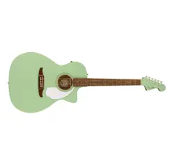 NEWPORTER PLAYER CUTAWAY