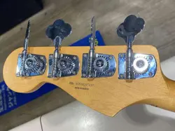 BASS PLAYER ELECTRIC