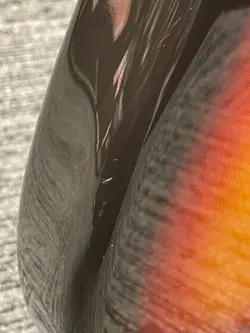 SUNBURST 2004-2006 ELECTRIC