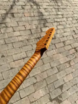 22FRETS ROASTED TIGER