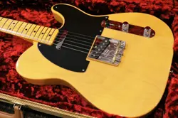 BUTTERSCOTCH BLONDE V2436791