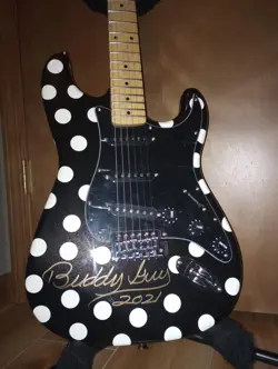 FENDER SQUIER POLKA