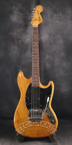 1978-1979 MUSTANG ELECTRIC