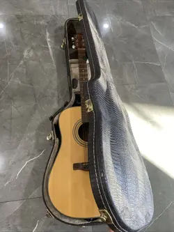 LAG DREADNOUGHT CROCODILE CROCO HARDSHELL CASE WITH FENDER ACOUSTIC GUITAR COMBO