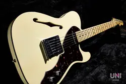 FENDER AMERICAN DELUXE TELECASTER THINLINE / 2013 USED ELECTRIC GUITAR